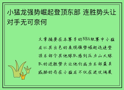 小猛龙强势崛起登顶东部 连胜势头让对手无可奈何