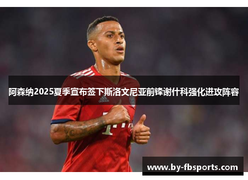 阿森纳2025夏季宣布签下斯洛文尼亚前锋谢什科强化进攻阵容